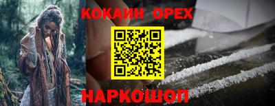 гидра Камышлов