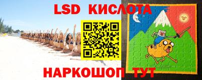гидра Камышлов