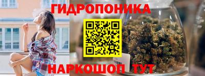 гидра Камышлов
