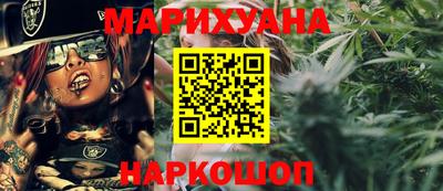 гидра Камышлов