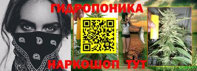 apvp Кандалакша