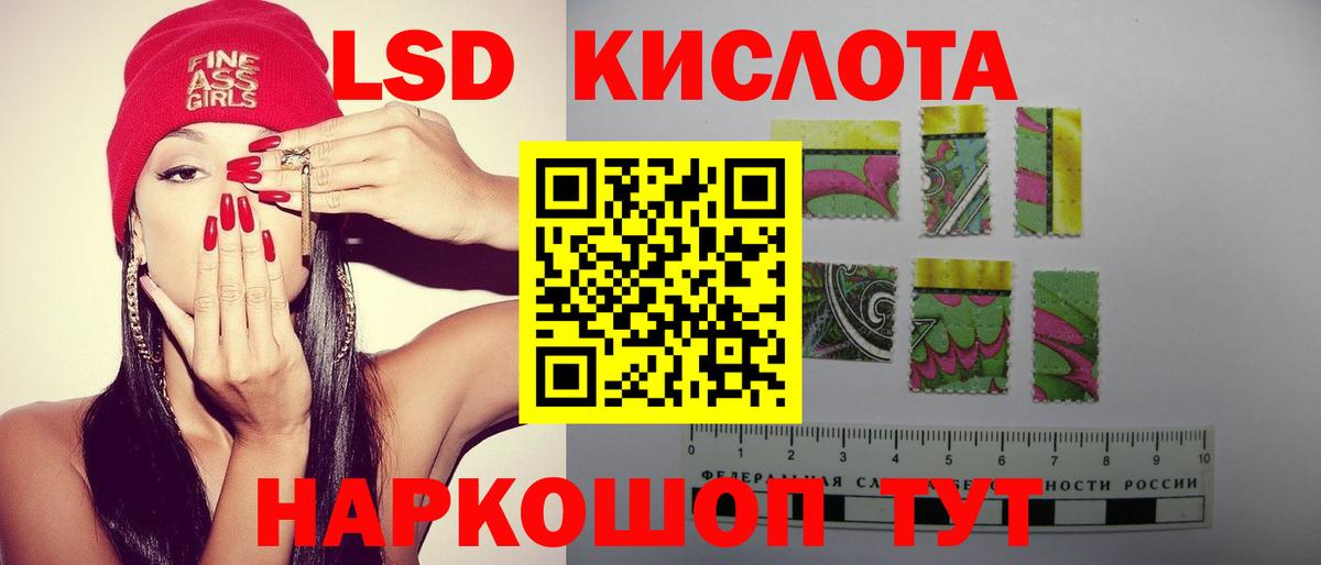 Псилоцибиновые грибы Краснознаменск