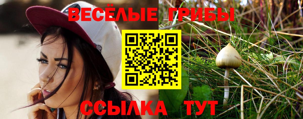 Краснознаменск  Галлюциногенные грибы GOLDEN TEACHER  Вход с VPN  Галлюциногенные грибы мухоморы 